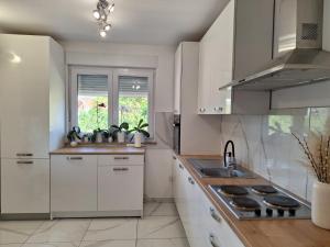 Kuchyň nebo kuchyňský kout v ubytování Holiday home Laura