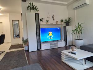 TV a/nebo společenská místnost v ubytování Holiday home Laura