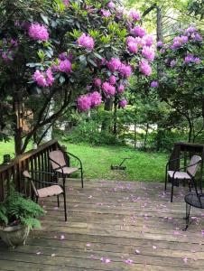 Κήπος έξω από το Catskills ChestnutCreek+Swimming Hole+Firepit+Hike