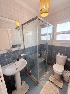 a bathroom with a shower and a toilet and a sink at Comfy Hotel Apartament in Madinaty +28 photos