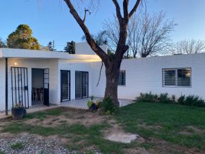 una casa bianca con un albero di fronte di San Alfonso a Córdoba