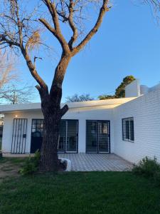 una casa bianca con un albero nel cortile di San Alfonso a Córdoba Altre 15 foto