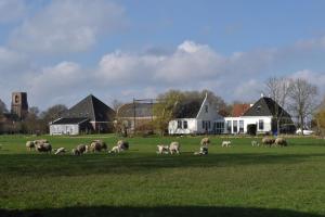 Gallery image of Amsterdam Farmland in Amsterdam