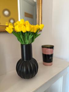 Fotografie z fotogalerie ubytování Pétille en champagne - 1 chambre - Terrasse v destinaci Épernay