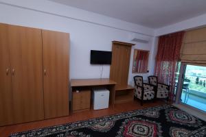 TV a/nebo společenská místnost v ubytování Vila Viktoria Golem