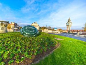 a green sign on a grassy field with a street at Fine bulle terrasse -5 min gare -centre ville -Parking -RDC in Épernay