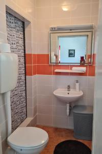 Vannituba majutusasutuses Apartments with parking space Gornji Karin, Novigrad - 21514