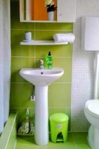 Vannituba majutusasutuses Apartments with parking space Gornji Karin, Novigrad - 21514 +16 fotot