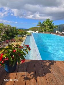 a blue swimming pool with a plant on a wooden deck at La Belle Dame in Deshaies