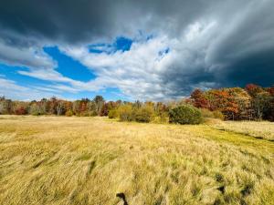 Un paisaje natural cerca de la villa
