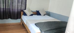 een slaapkamer met een bed met blauwe kussens en een raam bij Raghavs Retreat Chikmaglur in Chikmagalūr