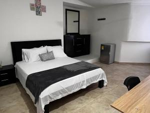 蒙特里亚Hotel Tariq Montería的相册照片