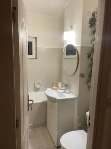 a bathroom with a sink and a toilet and a mirror at Apartament 2 dormitoare ultracentral modern in Craiova