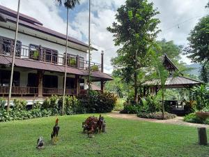 Zahrada ubytování Baantawan Guesthouse Pai