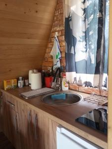a kitchen counter with a sink in a tiny house at Vikendica Novska planina in Rudice +32 photos