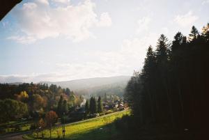Blick auf ein Tal mit Bäumen und eine Straße in der Unterkunft Willa Arnika in Lutowiska