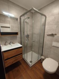 a bathroom with a shower and a toilet and a sink at Hutorok in Strübbel +29 photos