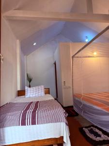 Gallery image of Green Surf Cabana in Arugam Bay