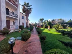 un cortile di un condominio con una palma di Amicizia a Valledoria