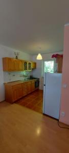 Kuchyň nebo kuchyňský kout v ubytování Apartmán Jáchymov Krušné hory
