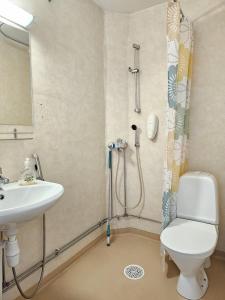 Ένα μπάνιο στο Kylpylähotelli Pohjanranta +68 φωτογραφίες