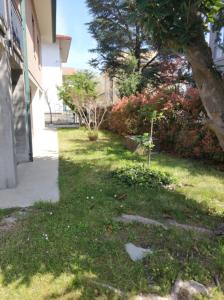 a green yard with a tree and a building at Appartamento mare in Cesenatico