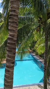 una palmera junto a una piscina azul en Charming Beach Apartment - Charmant Appart de Plage, en Flic en Flac