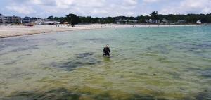 a person standing in the water at the beach at Ty Nomad in Plougonvelin