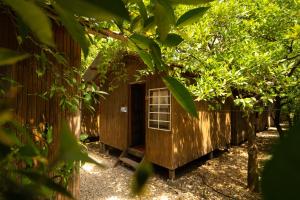 Κήπος έξω από το Olympos Yakamoz Pansiyon +50 φωτογραφίες