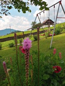 Vonkajšia záhrada v ubytovaní Ferienhaus Hirterhütte