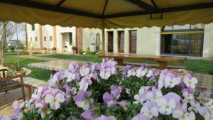 Vonkajšia záhrada v ubytovaní Agriturismo L'Albara - Wines, Pool & SPA