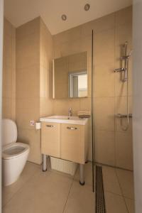 a bathroom with a sink and a shower and a toilet at Olivier Residence in Nicosia