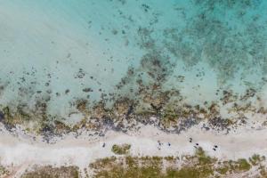 an aerial view of a beach and the ocean at Le Ville di Sofia by BarbarHouse in Sant'Isidoro