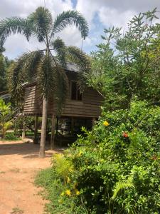 a house with a palm tree in front of it at Sok Phen Homestay in Siem Reap