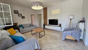 TV a/nebo společenská místnost v ubytování Arte villa Margarita apartment