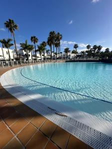 科拉雷侯Rosa Oasis Dunas的一座棕榈树和椅子的大型游泳池