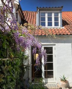 ファーボにあるByhus i Faaborgのギャラリーの写真