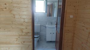 a bathroom with a toilet and a sink at Casa de vacanță Mira in Cîmpu lui Neag +10 photos