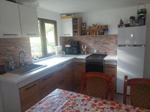 a kitchen with a sink and a stove and a refrigerator at Casa de vacanță Mira in Cîmpu lui Neag