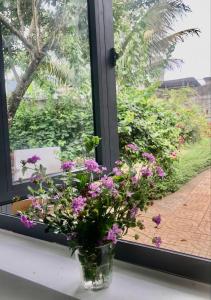Homestay Buôn Mê 4外面的花园