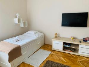 a bedroom with a bed and a tv on a wall at Hortenzia Vendégház Mór in Mór