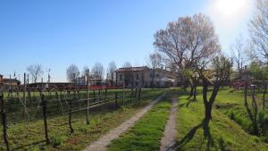 Vonkajšia záhrada v ubytovaní Agriturismo L'Albara - Wines, Pool & SPA
