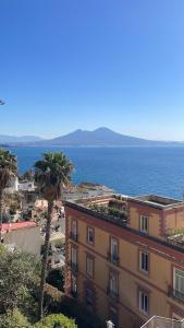 a building with a palm tree next to the ocean at La Casetta Pompei Sorrento Guest House Vesuvio in Boscotrecase