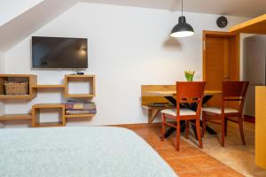 Μια τηλεόραση ή/και κέντρο ψυχαγωγίας στο Apartment Markič