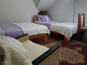 巴伊纳巴什塔Apartmani Petrovic Tara的有两张床和一把椅子的客厅