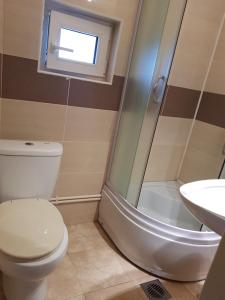 a bathroom with a toilet and a shower and a sink at Apartmani Petrović - 3 cozy family apartments in Kaludjerske Bare +30 photos