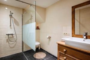 a bathroom with a shower and a sink and a toilet at Gîte du Chapy in Beauraing