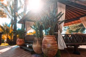 a group of potted plants in large vases on a patio at SWISS MORAIRA HOTEL & SPA - Adults only in Moraira