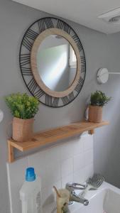 a mirror on a shelf above a bathroom sink at La halte verte in Nassogne +37 photos