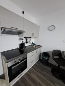 Kuchyň nebo kuchyňský kout v ubytování Apartmán Helena pod Klínovcem